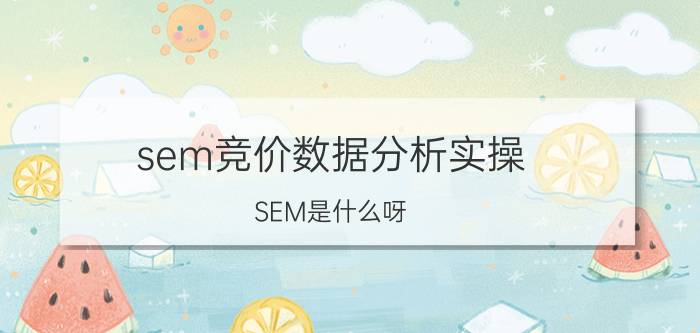 sem竞价数据分析实操 SEM是什么呀，需要学习什么？